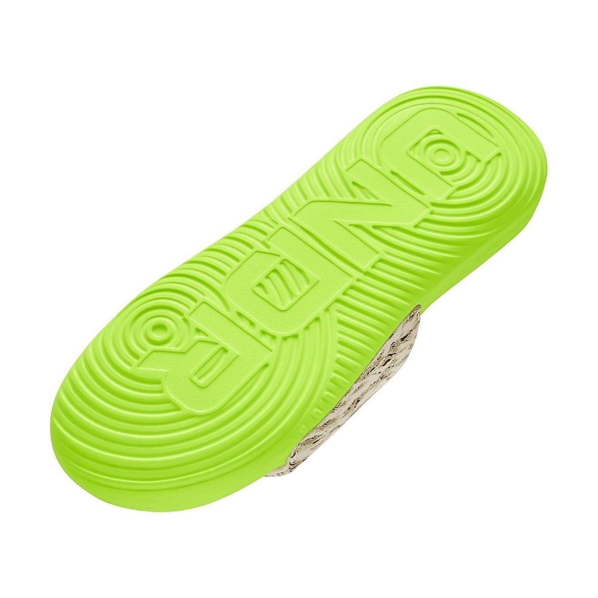 UA M ANSA GRAPHIC