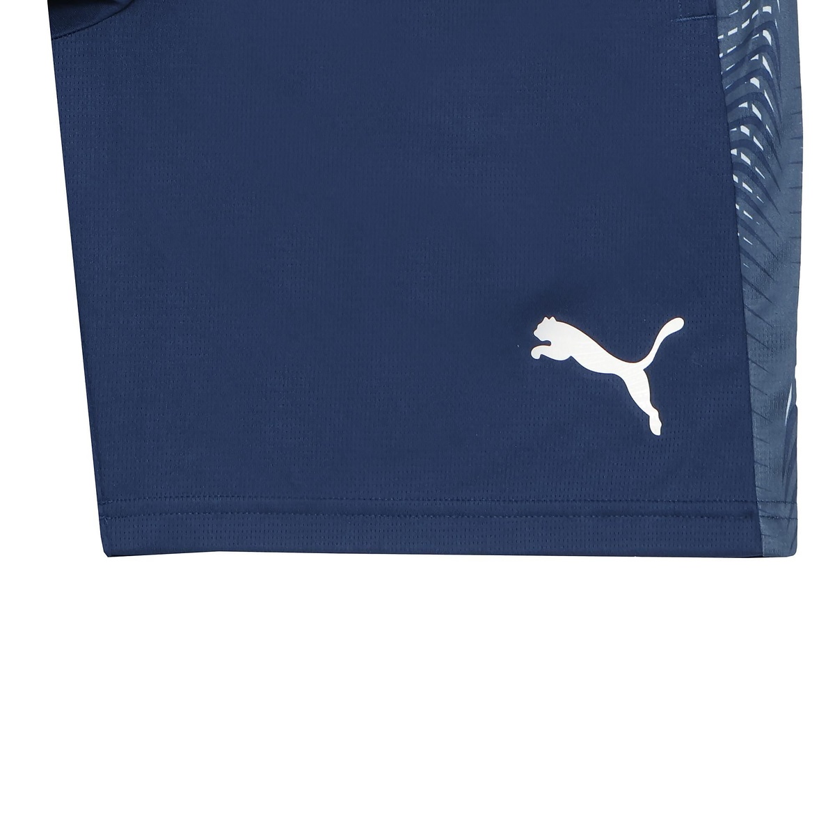 INDIVIFINAL TR ショーツ