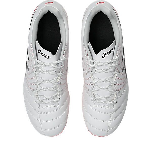 DS LIGHT JR GS