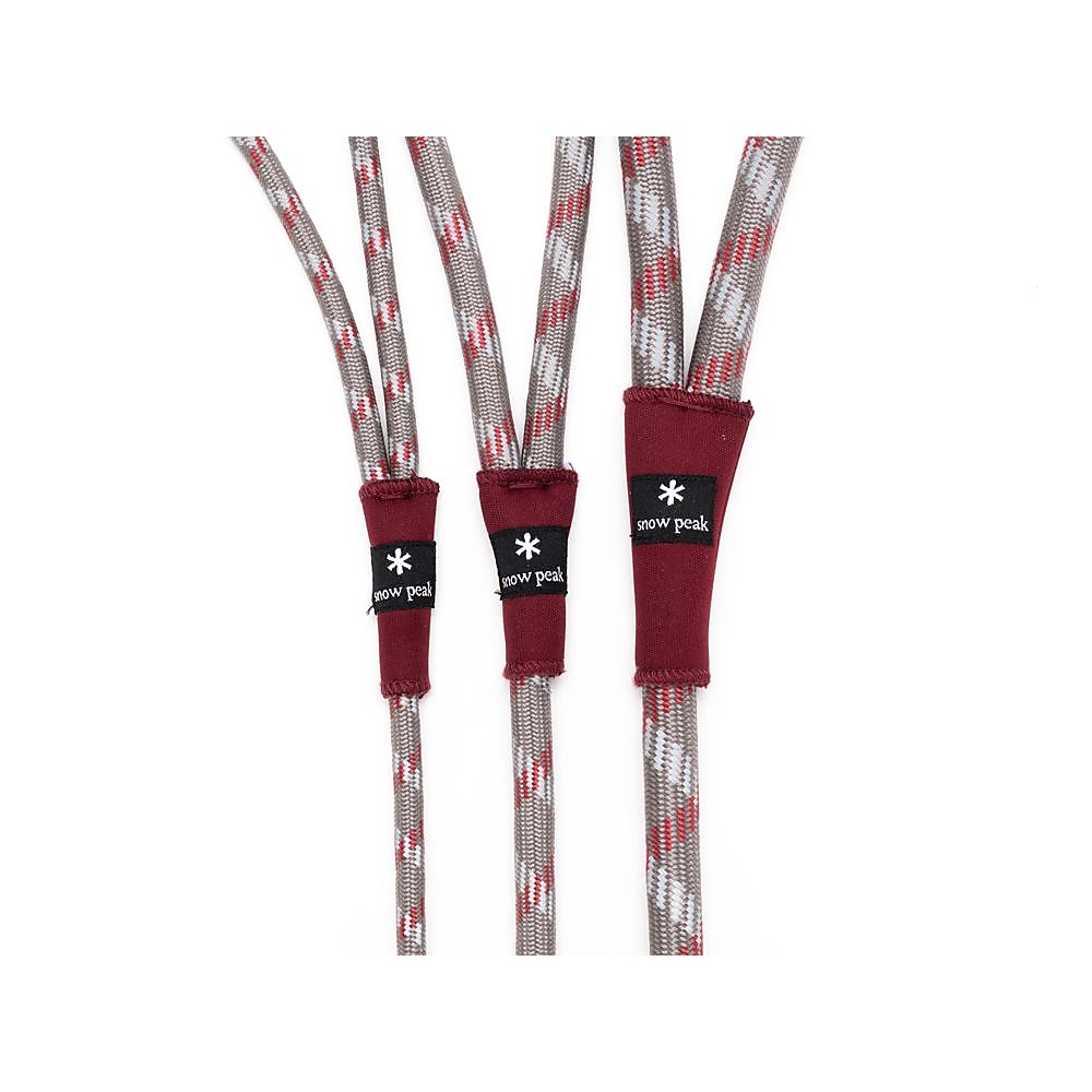 SPドッグリードS