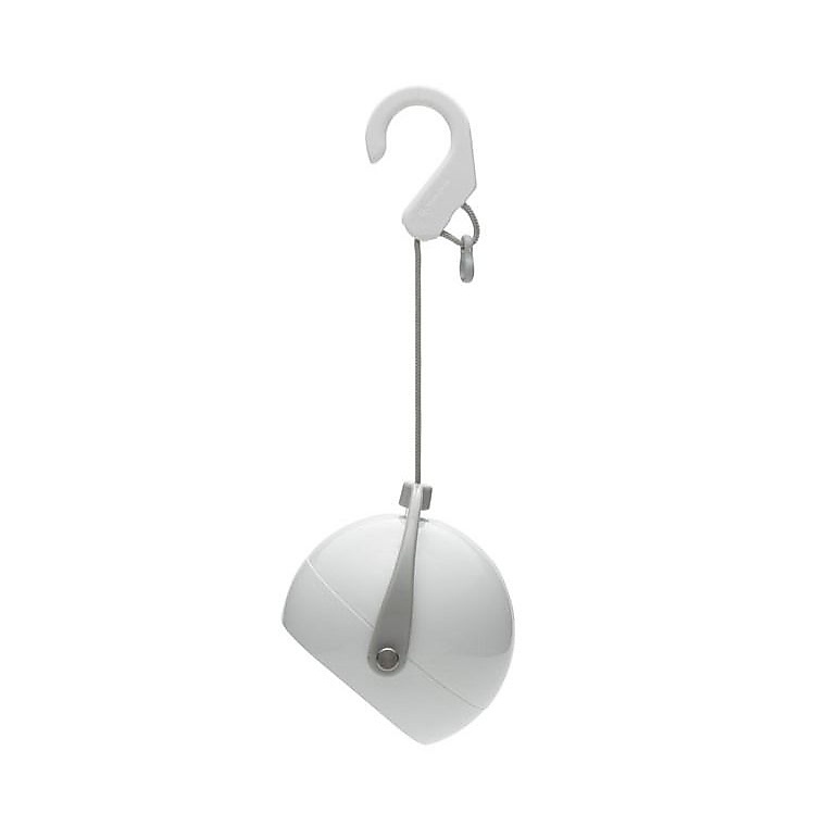 スポットほおずき