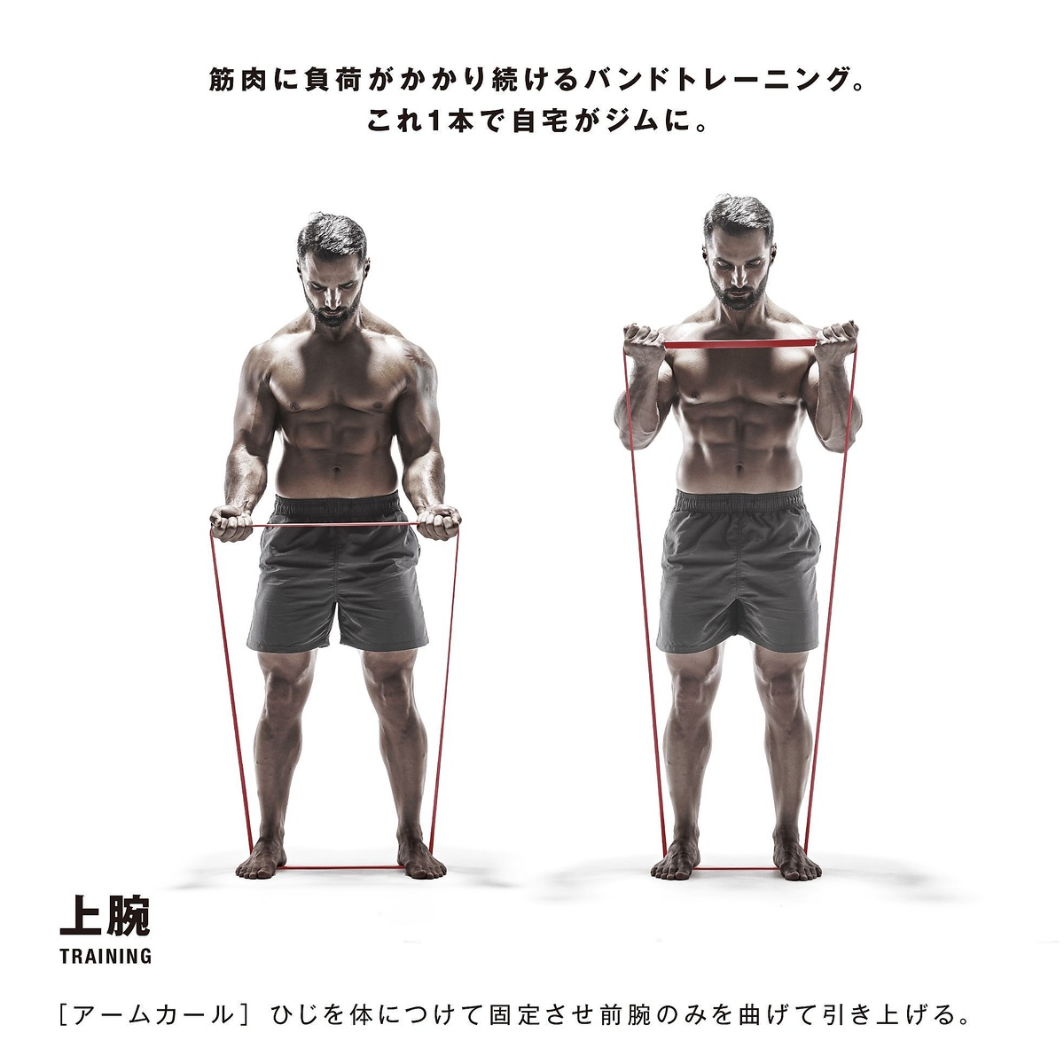 筋肉質バンド　ハード