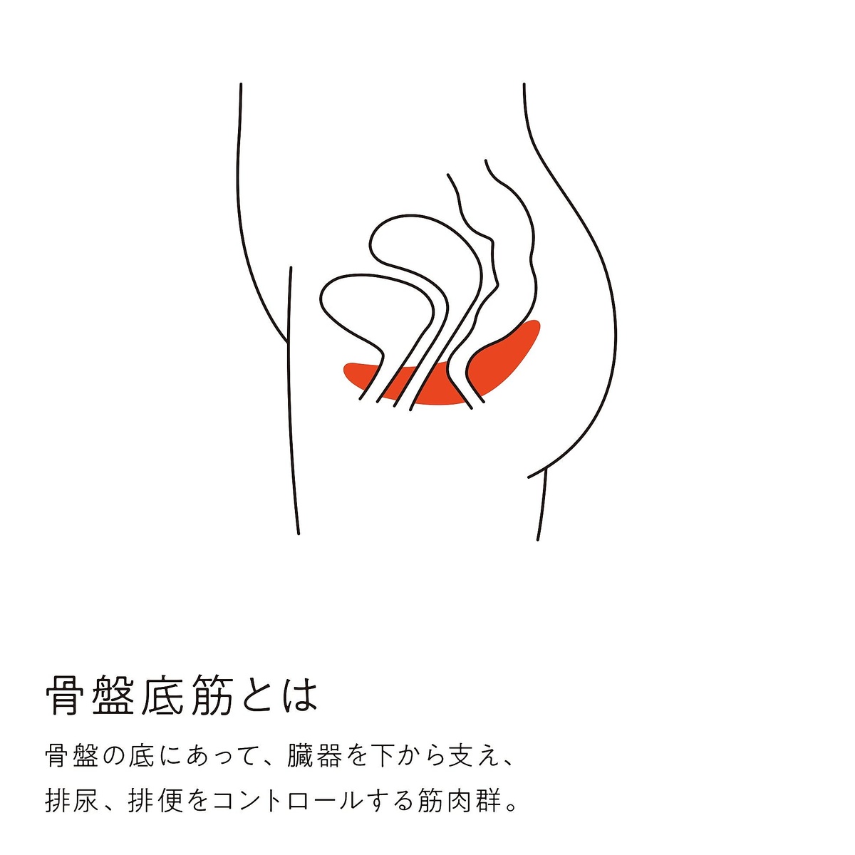 骨盤底筋しまり