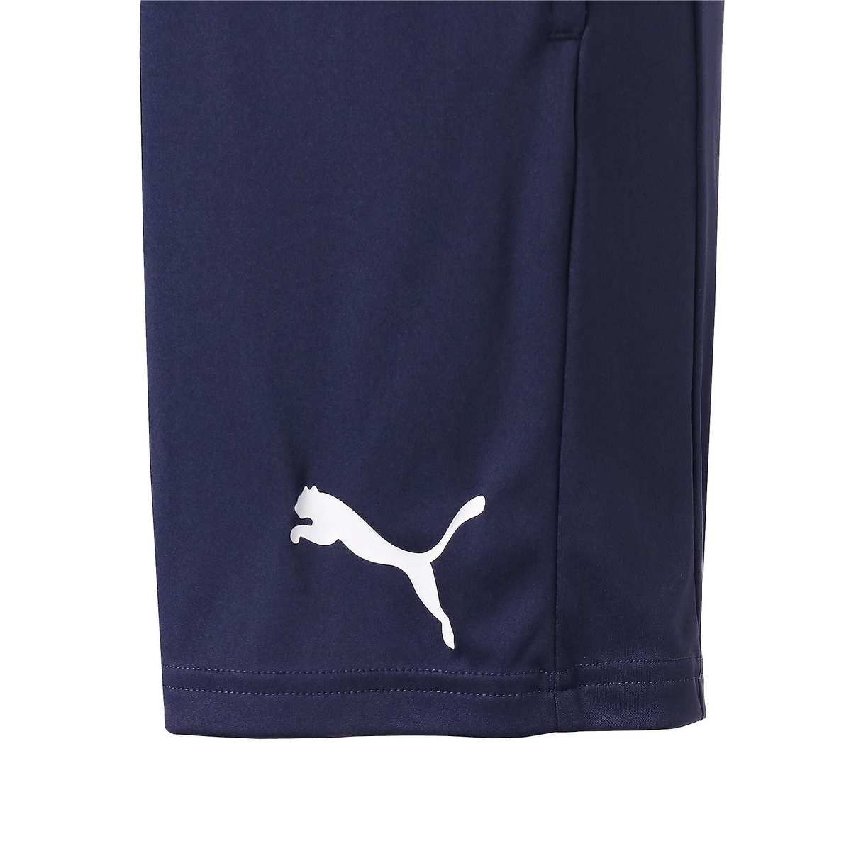 ACTIVE ESS インターロック ショーツ