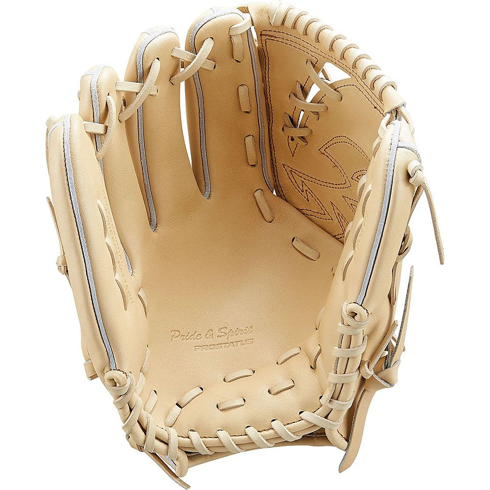 コウシキグラブ(プロステイタス)2101