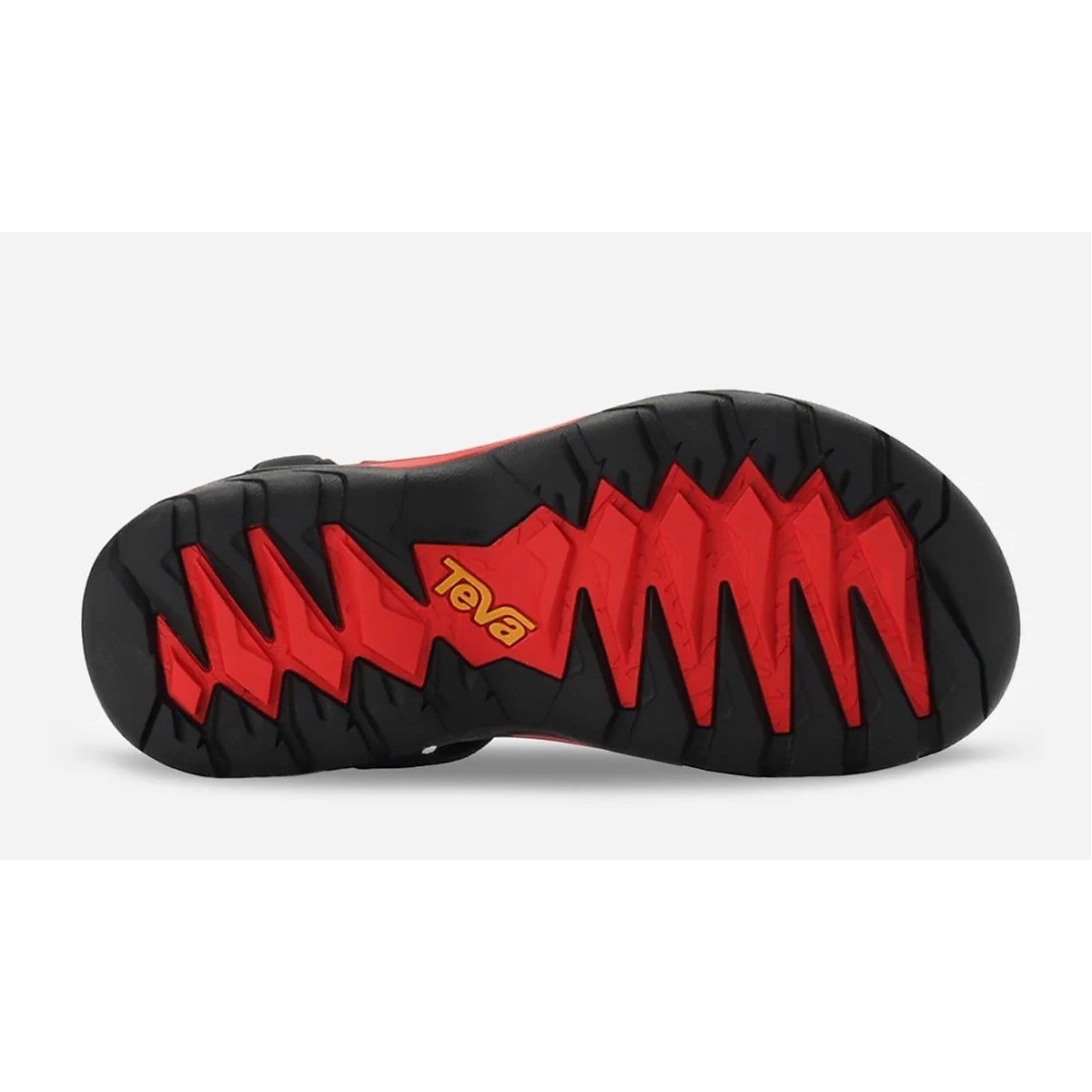 NANGAXTEVA TERA FI FIVE (ナンガxテバ テラ ファイ ファイブ)