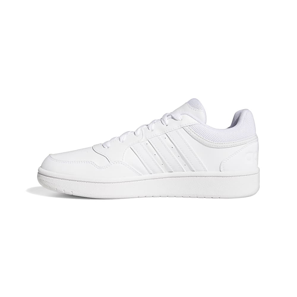 HOOPS 3.0