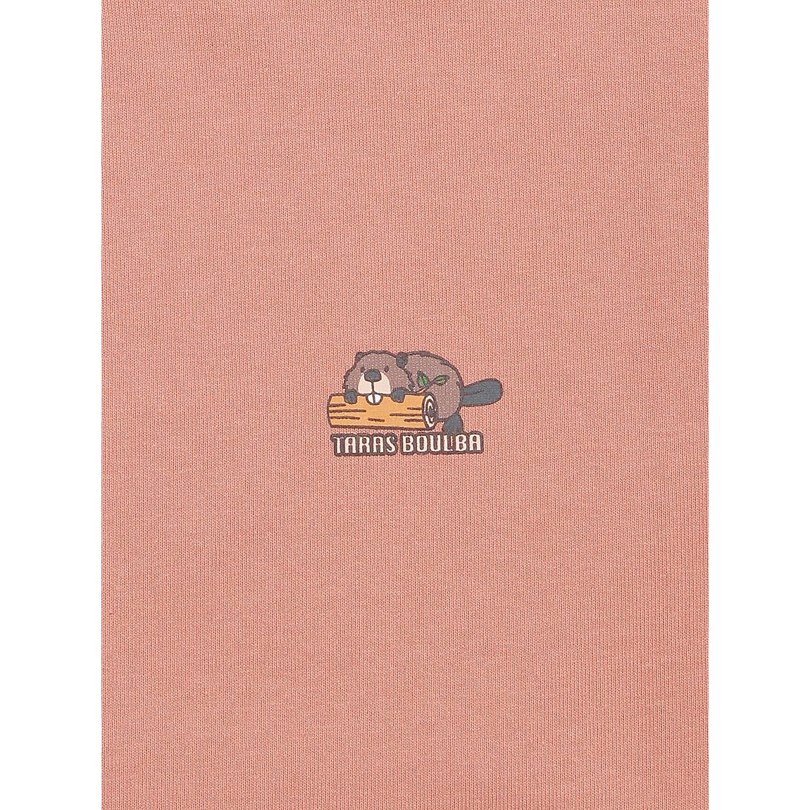 レディース ヘビーコットンロングＴシャツ（ビーバー）