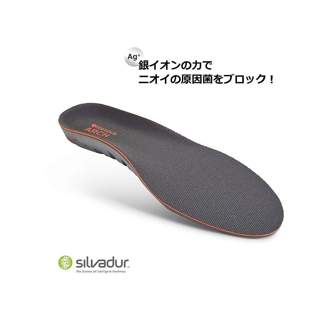 アーチ　Mサイズ
