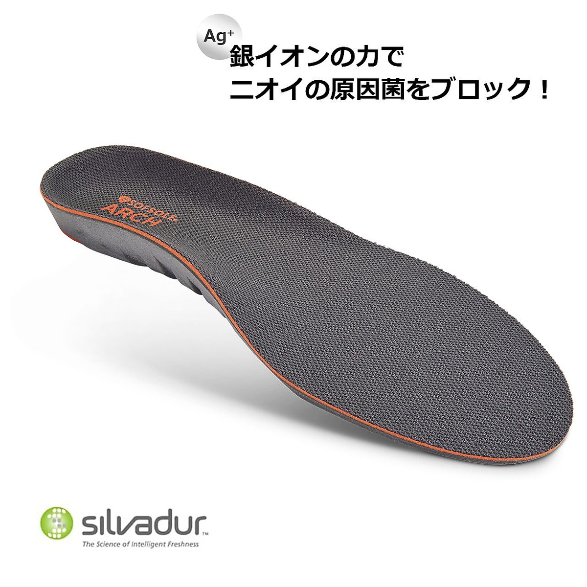 アーチ　Lサイズ