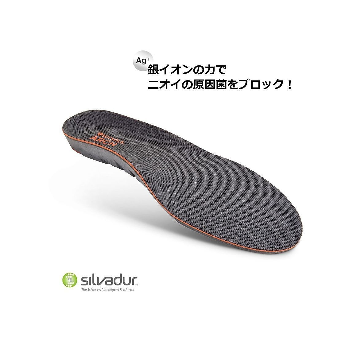 アーチ　XLサイズ