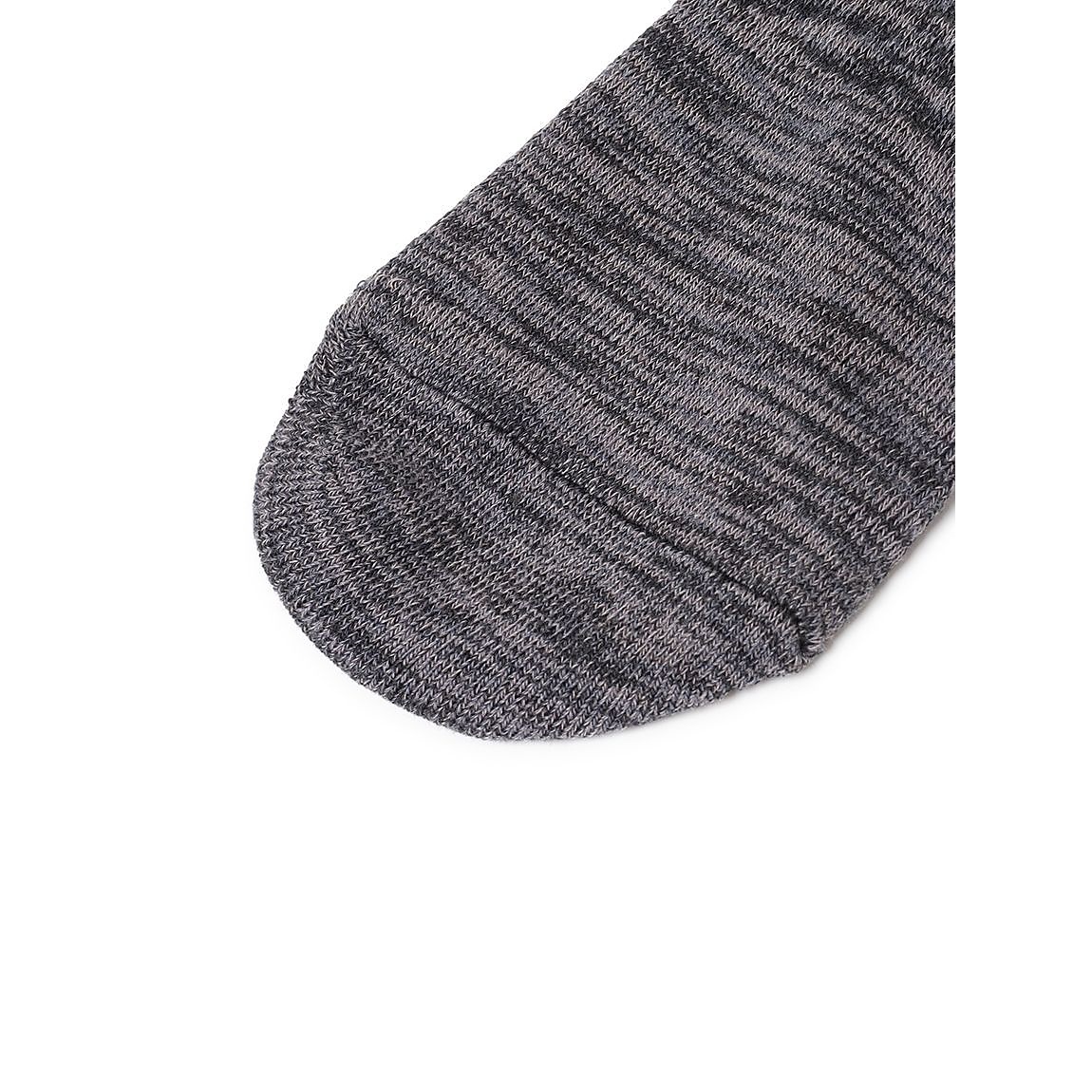 RLドライノヴァ・マダラックス