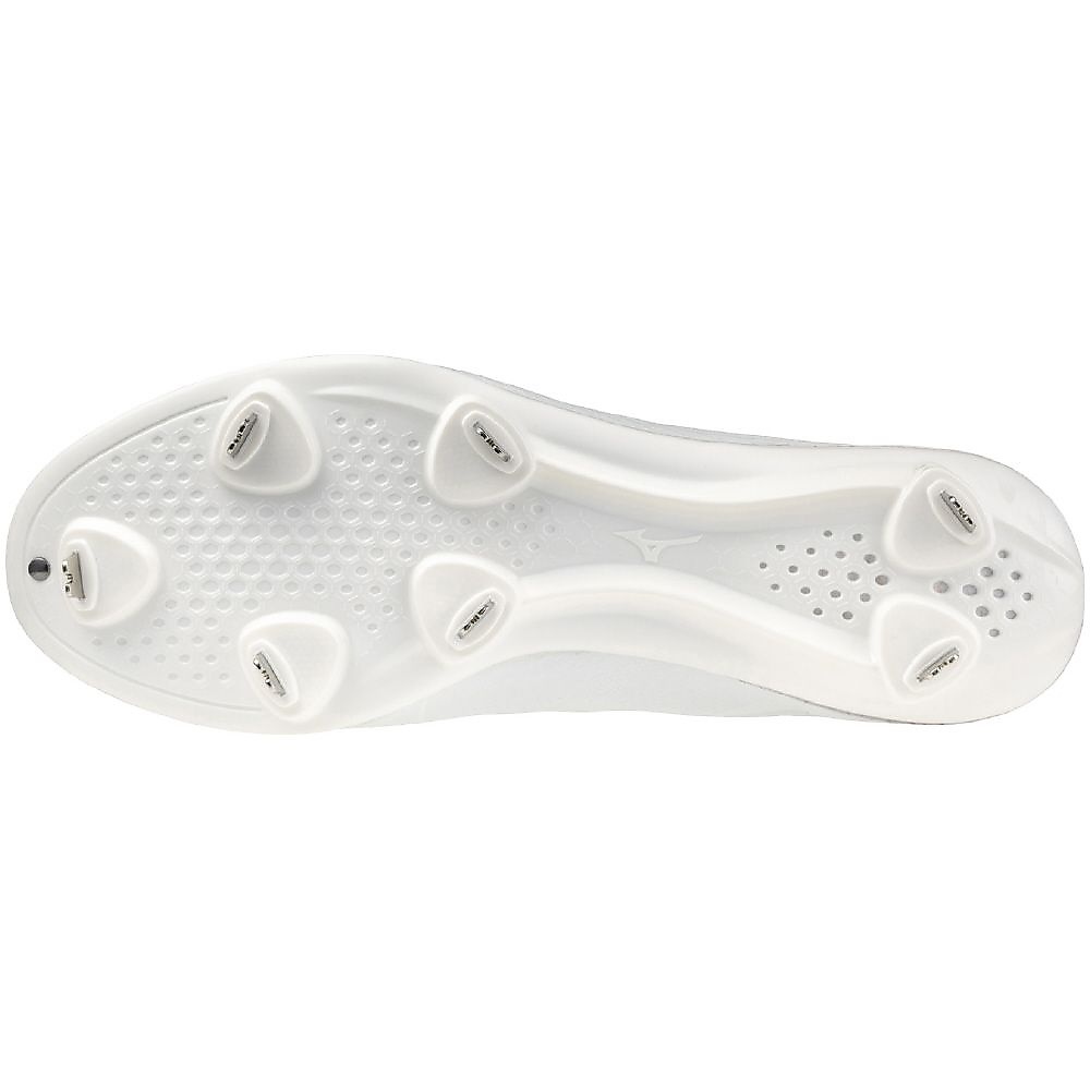 ライトレボエリート2