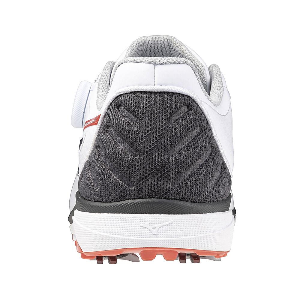 ネクスライトウルトラワイドボア