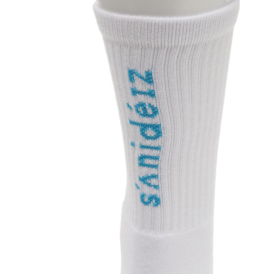 2足組パイル編 バックロゴソックス:ミドル