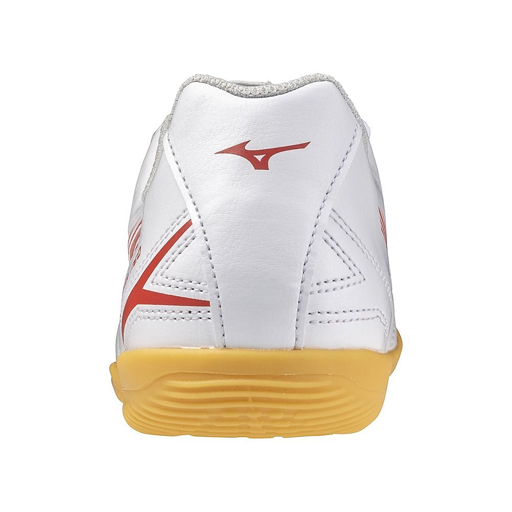 モナルシーダネオ3 セレクト JrIN