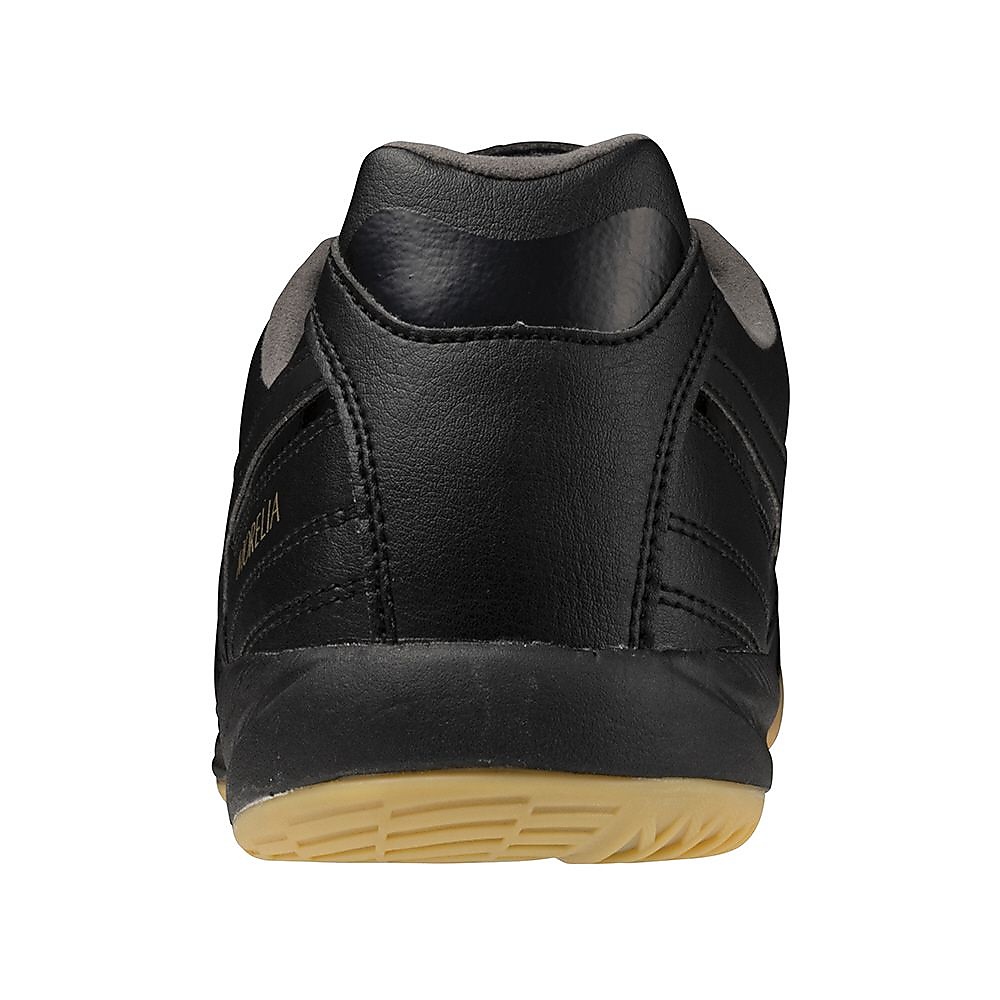 モレリア サラ PRO IN