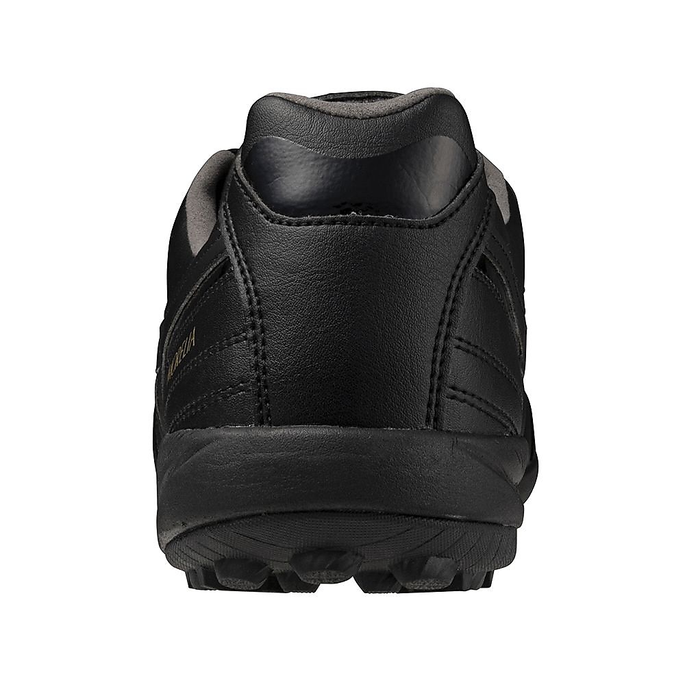 モレリア サラ PRO TF