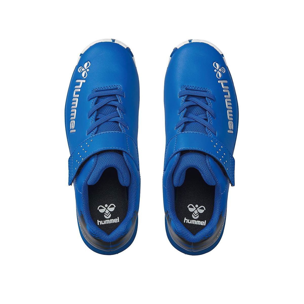 プリアモーレ6アルファ VTF ジュニア