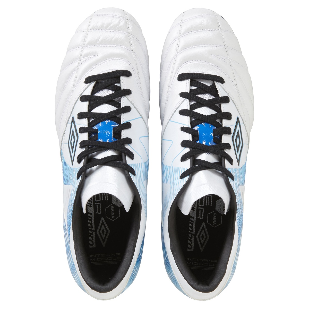 アクセレイター  f v3 HG