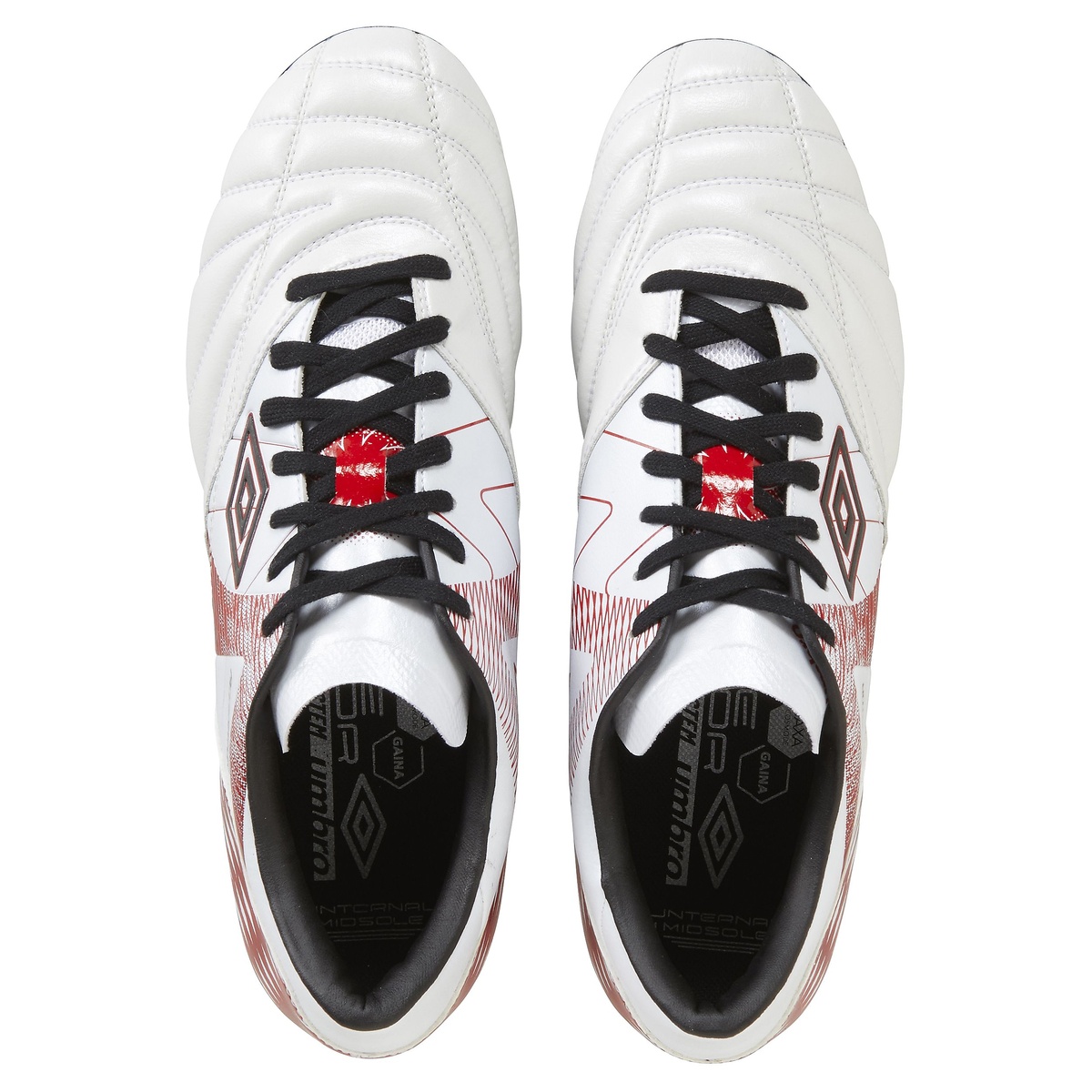 アクセレイター  b v3 HG