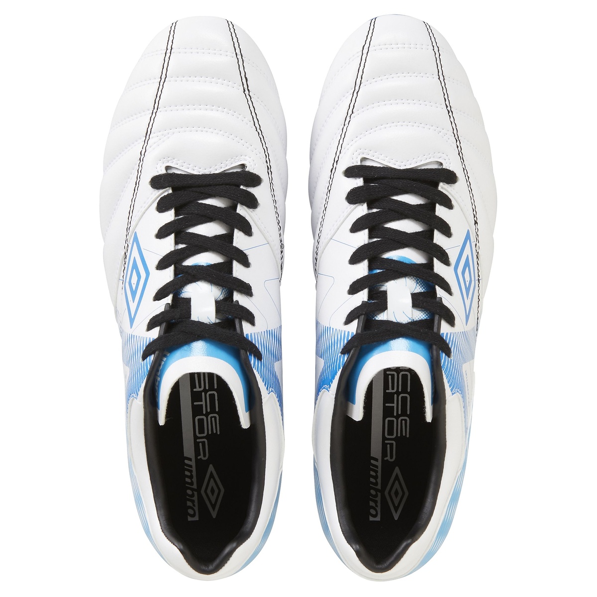 アクセレイター  HG