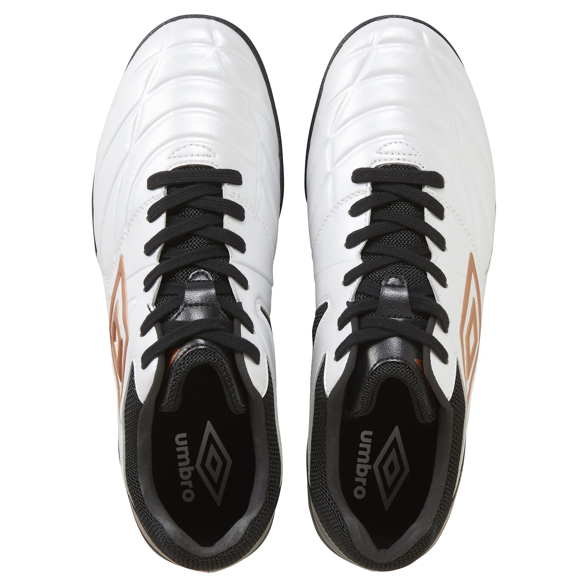 アクセレイター TR EX WIDE