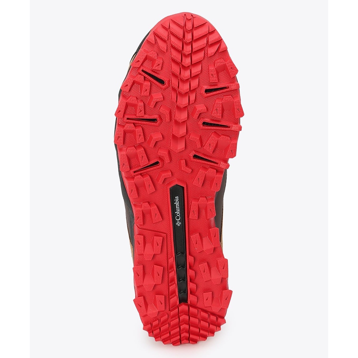 セイバー シックス ロー アウトドライ ワイド