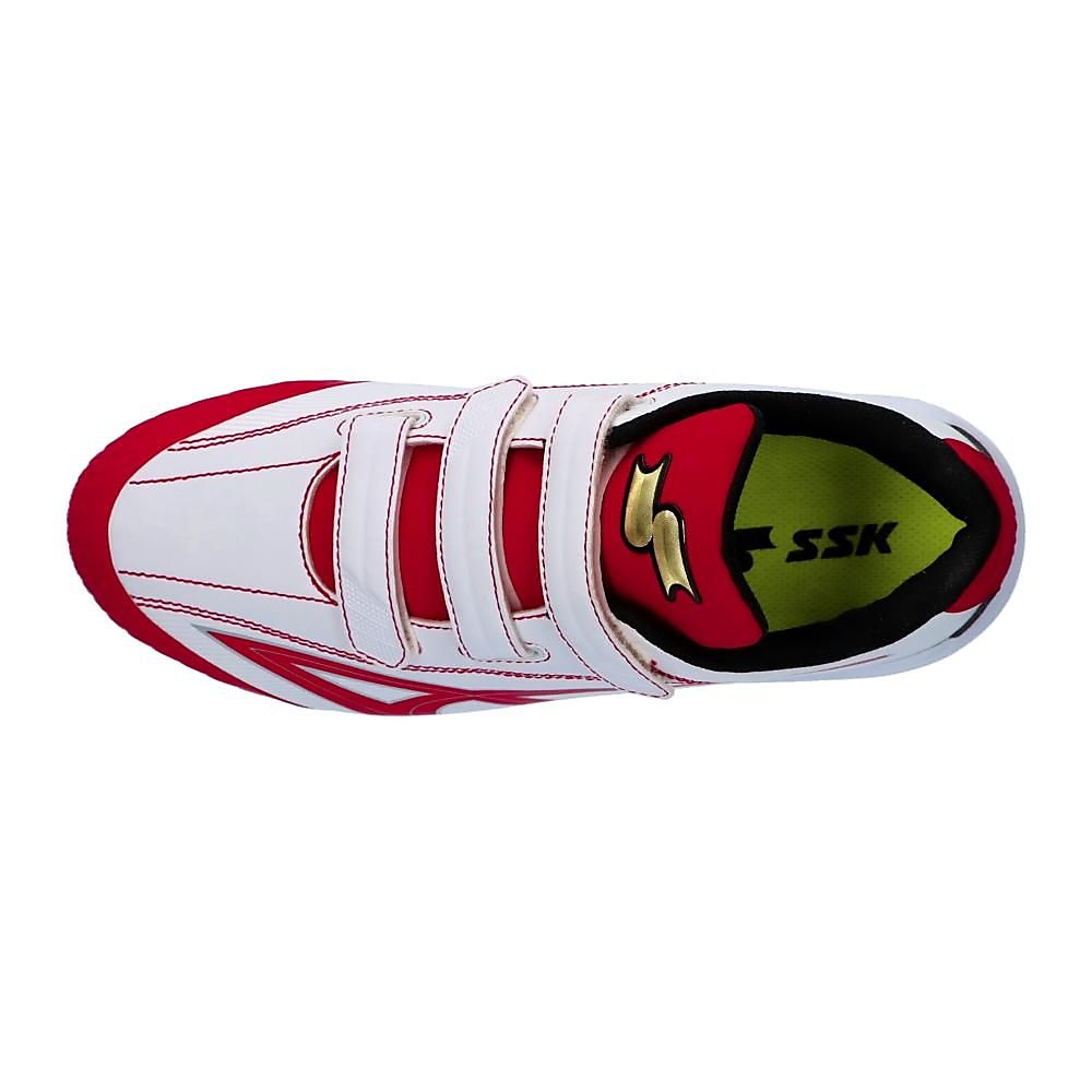 グローロードMC2