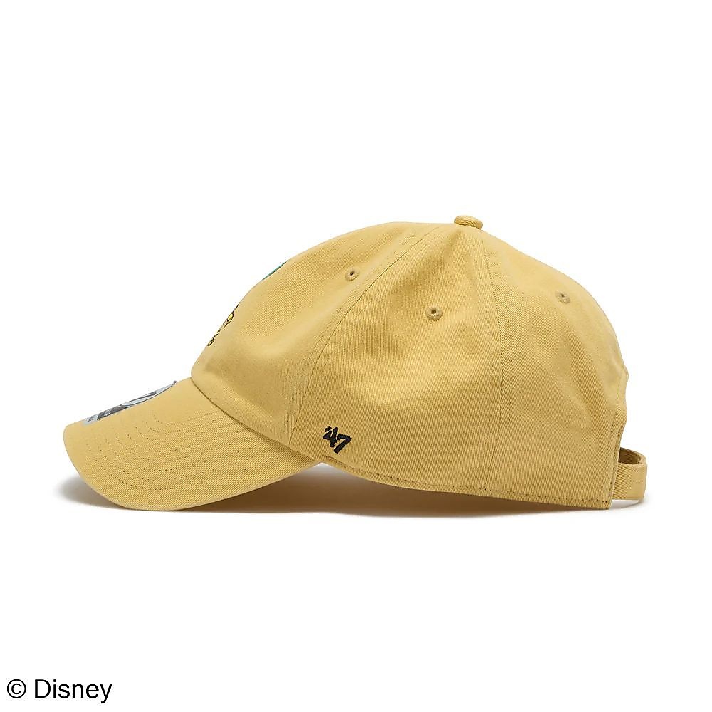 47A CLP-DIS-POOH-FLBAL-CT-GW