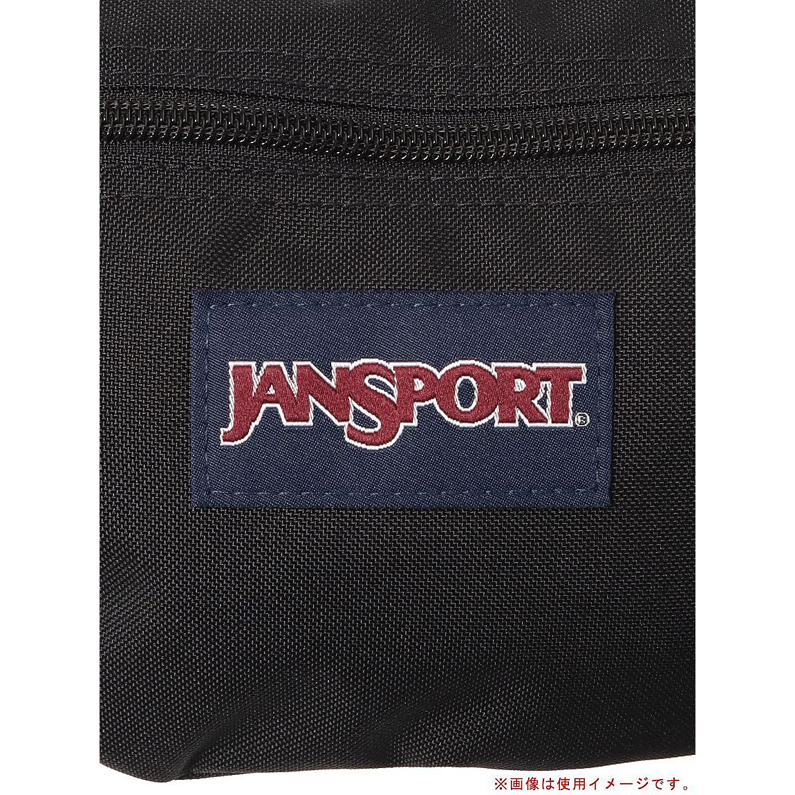 SWING WAISTPACK BLACK