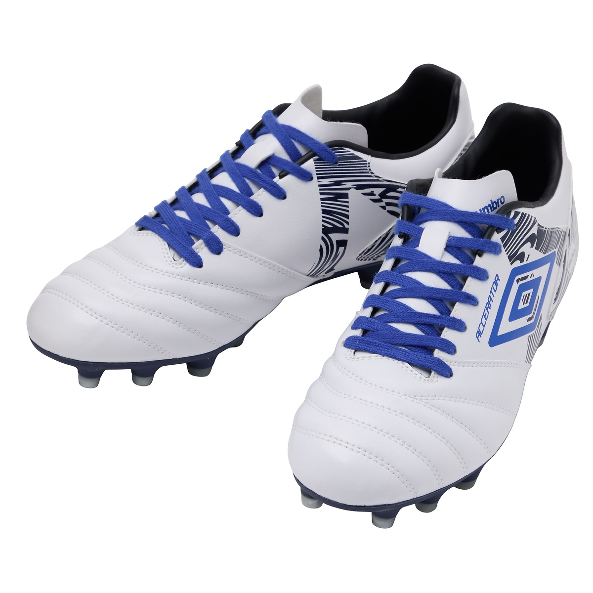 アクセレイタ- +GAINA HG