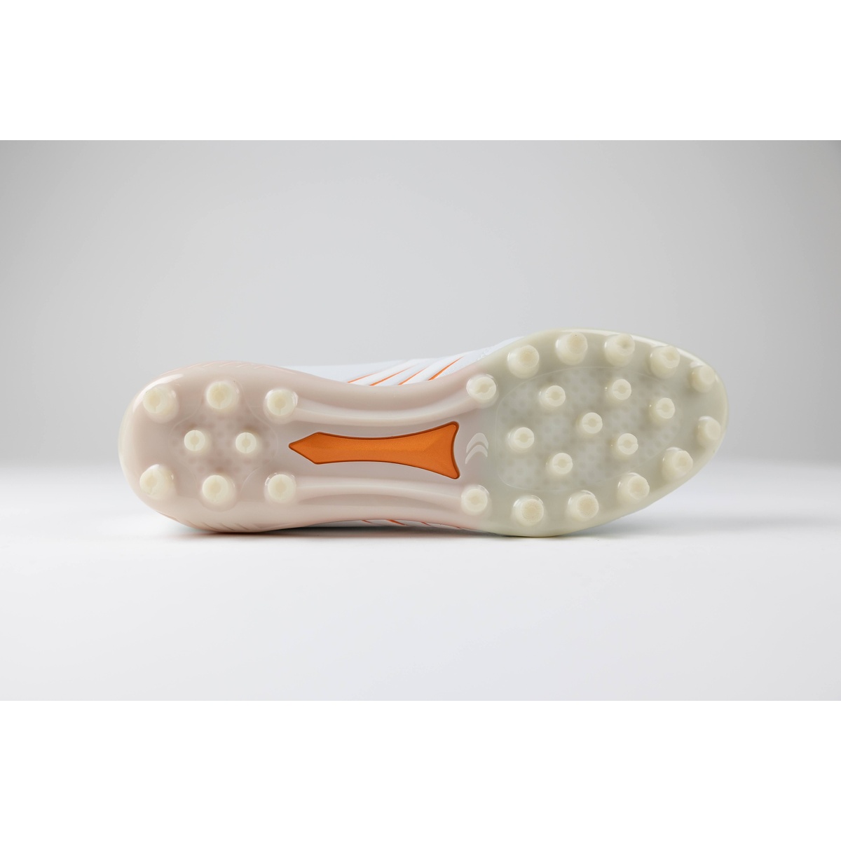 リガレスタ エース ワイド(Ligaresta  Ace　Wide)