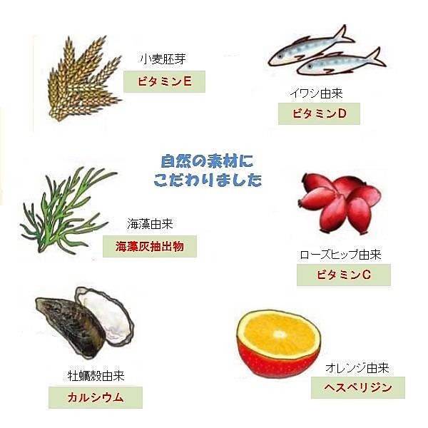 マルチビタミン&ミネラル 180粒