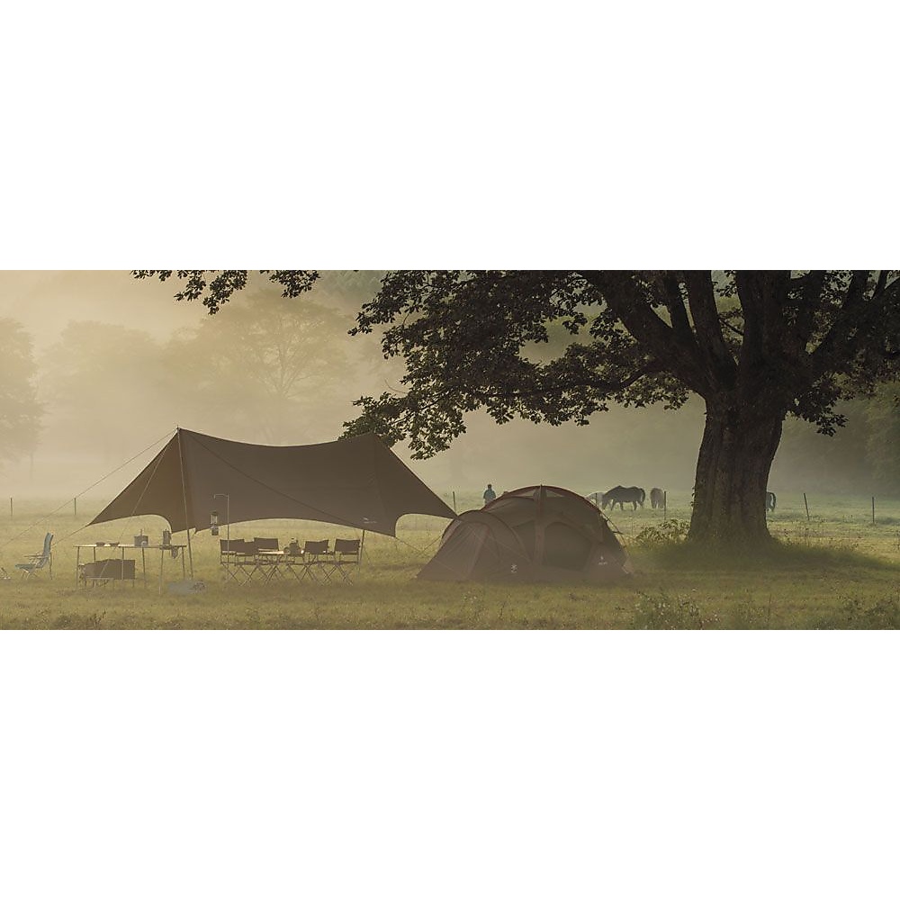 HDタープ シールド ヘキサエヴォ PRO.