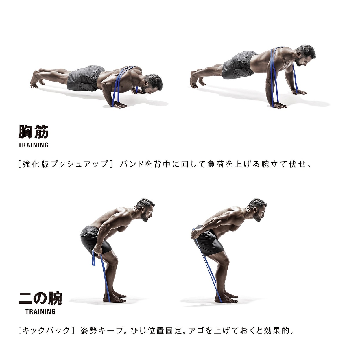 筋肉質バンド　スタンダード