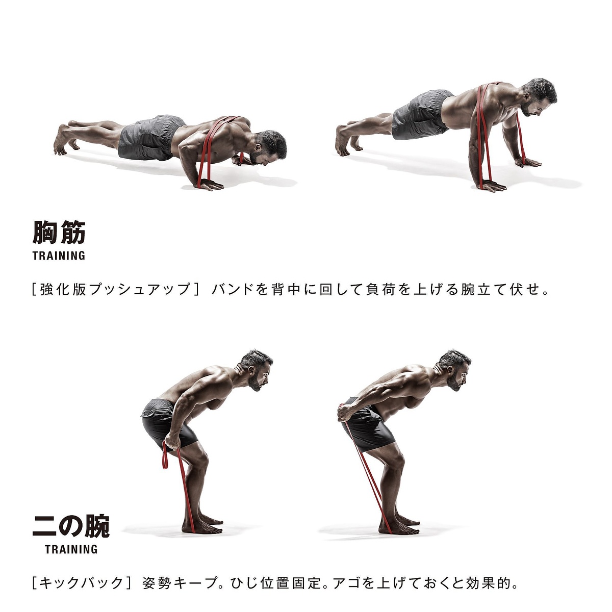 筋肉質バンド　ハード