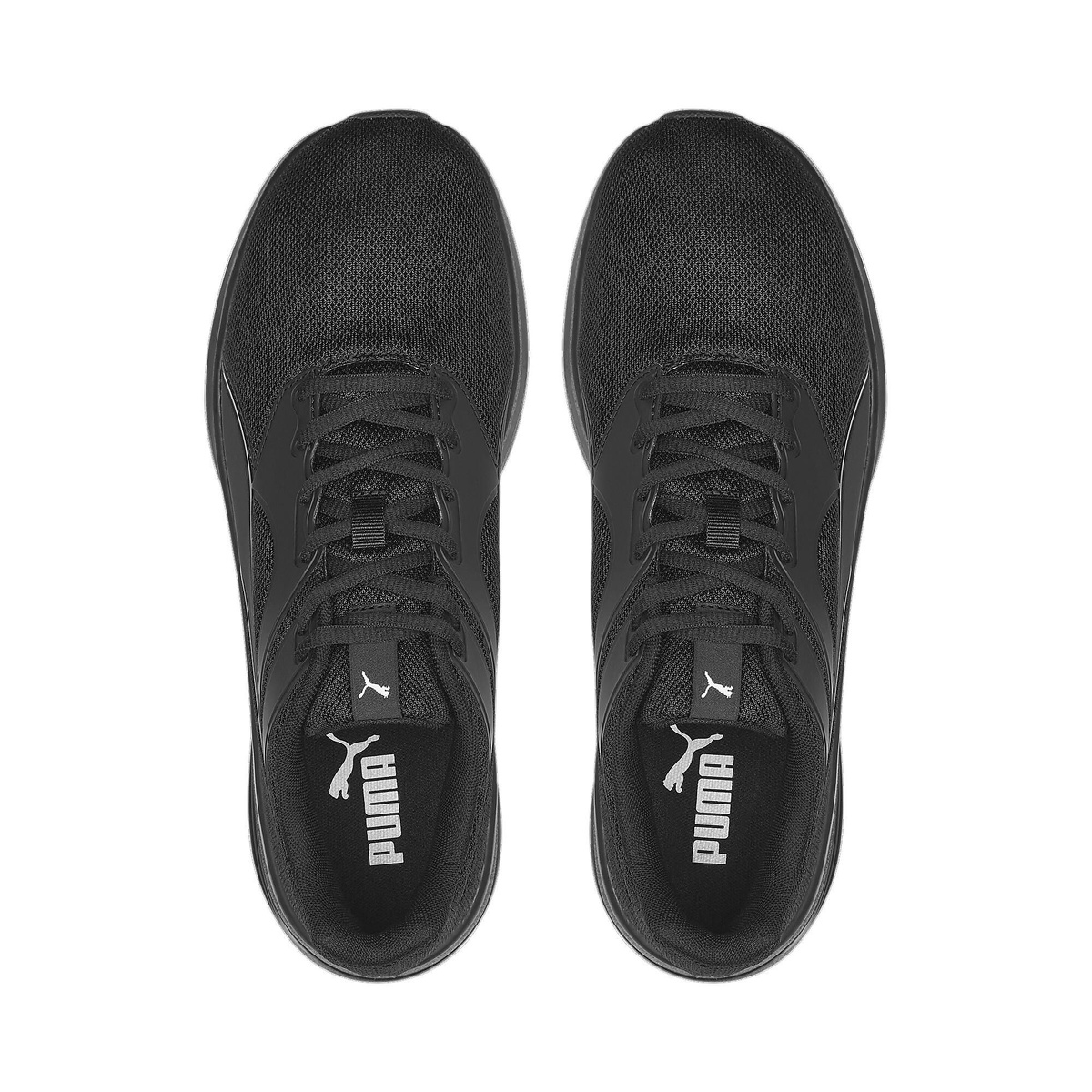 トランスポート