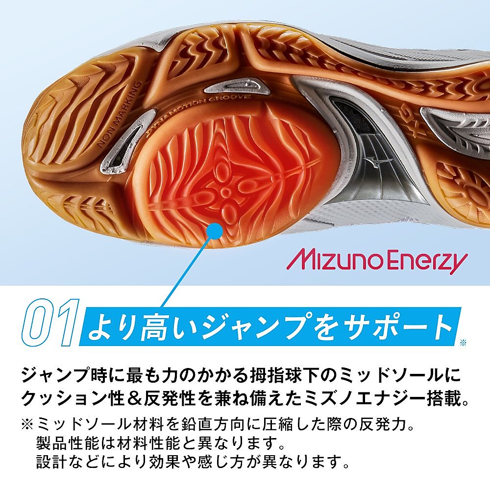 MIZUNO FLY