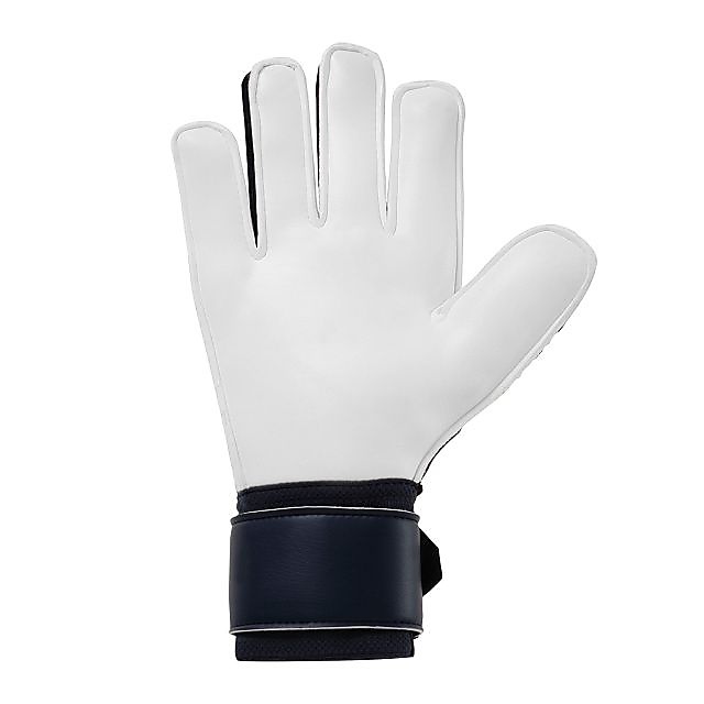 プレディクション ソフト プロ