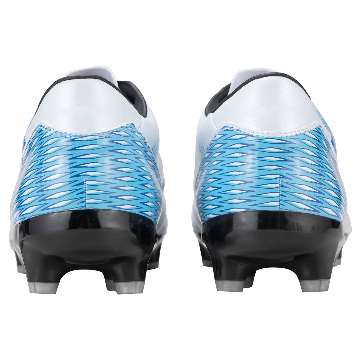 アクセレイター  f v3 HG