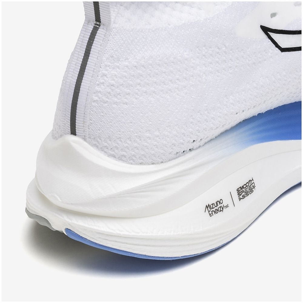 ミズノネオゼン