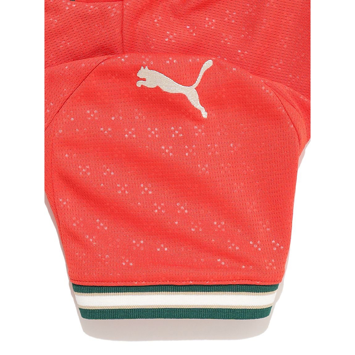 FPF ホーム ジャージ レプリカJR