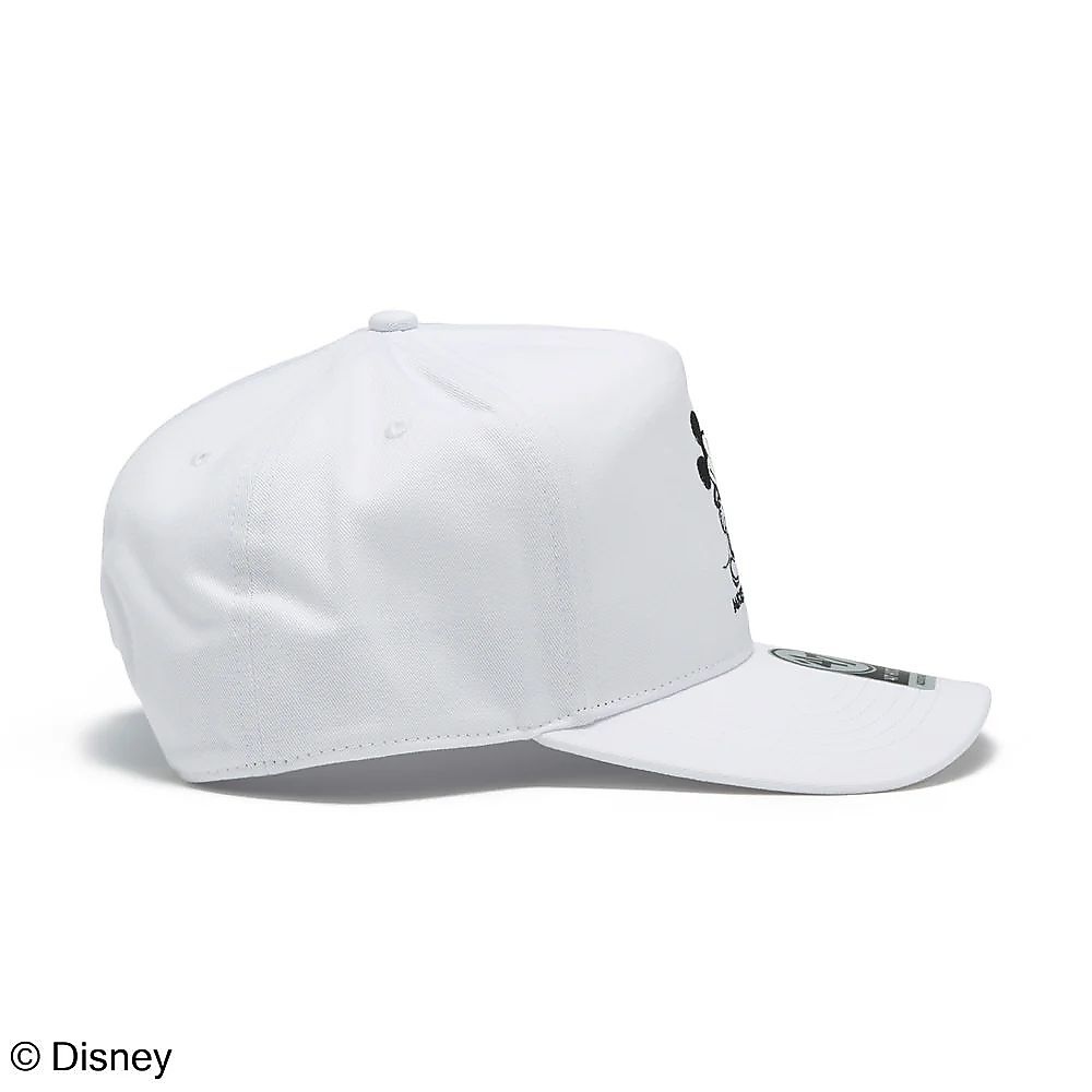 47A HIT-DIS-MICK-STA1BW-CT-GW