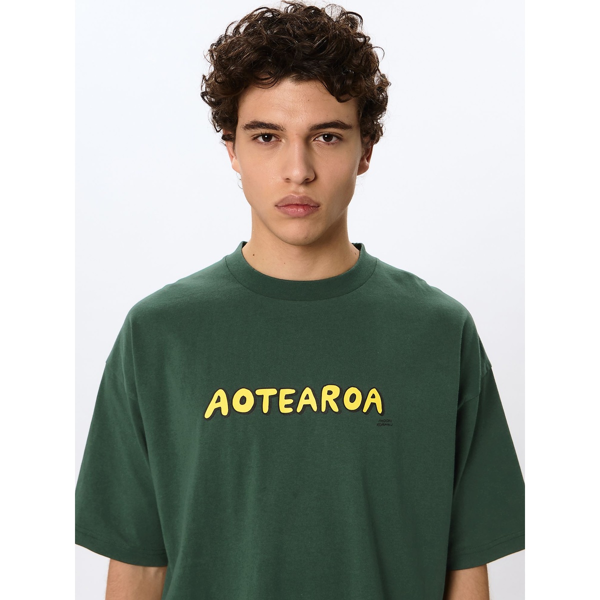 S/S TEE AOTEAROA