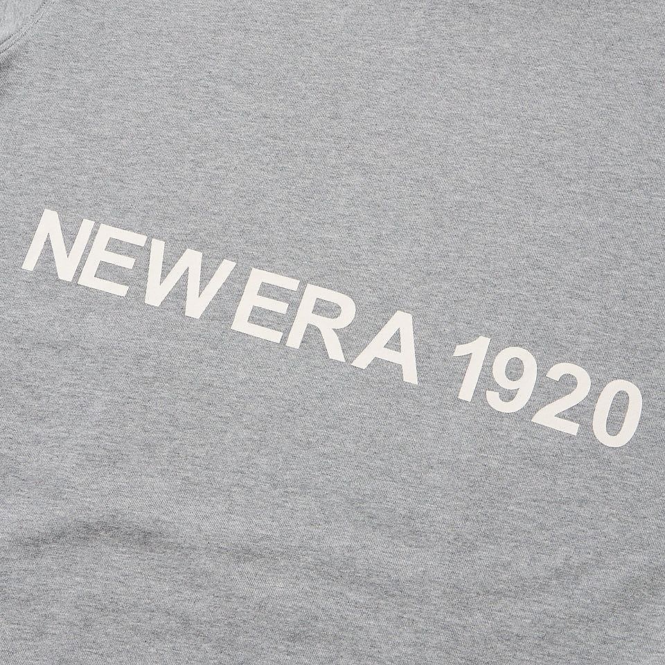 SW PO HOODIE NE1920 HGRY