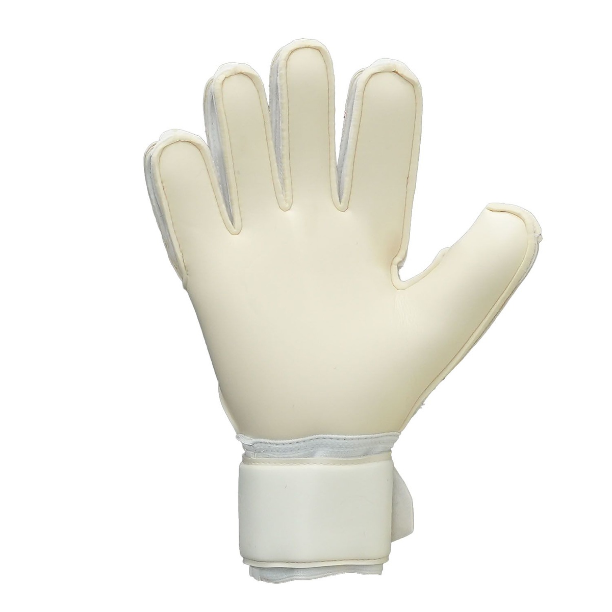 ファングマシーネ アブソルートグリップ