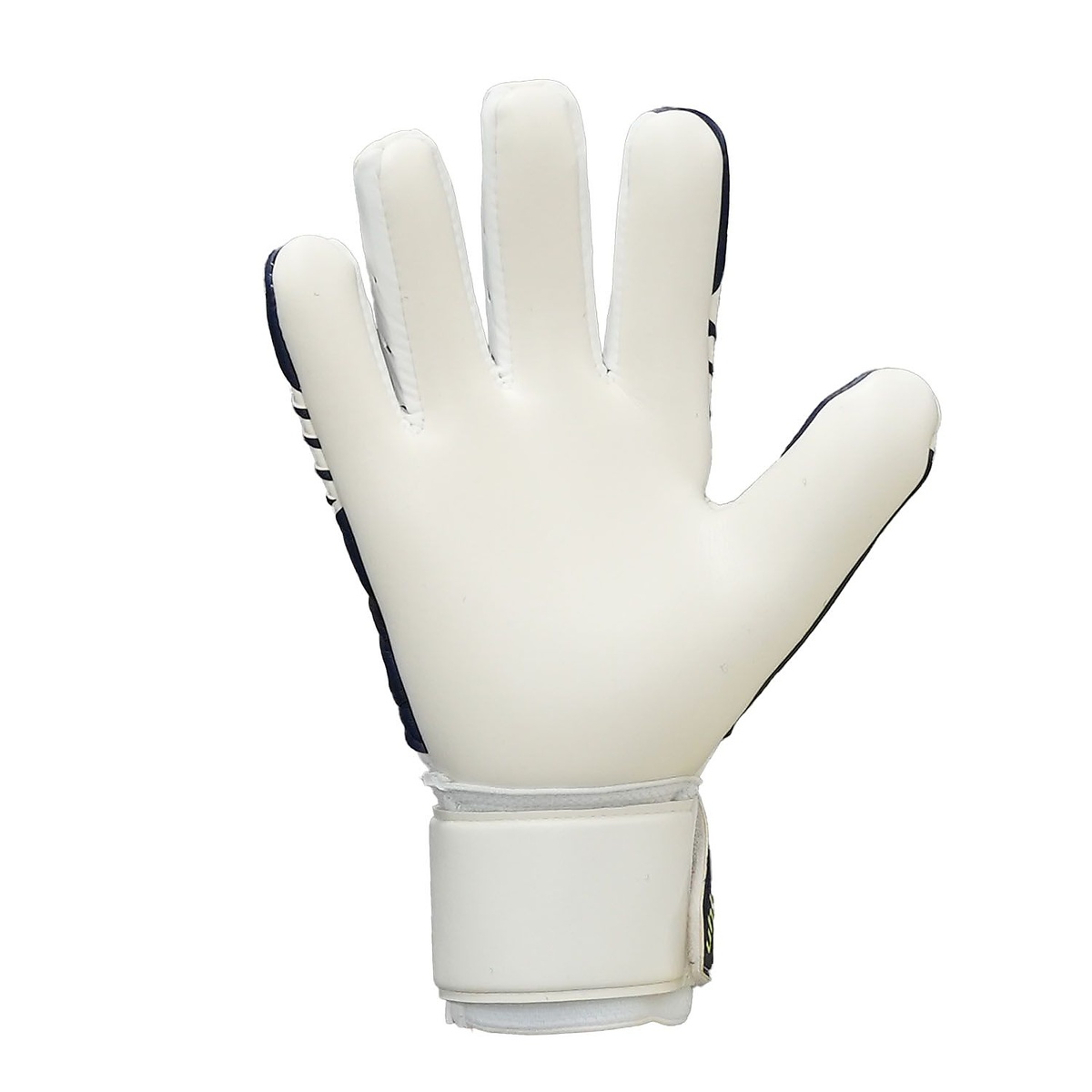 ファングマシーネ スーパーソフト ハーフネガティブ