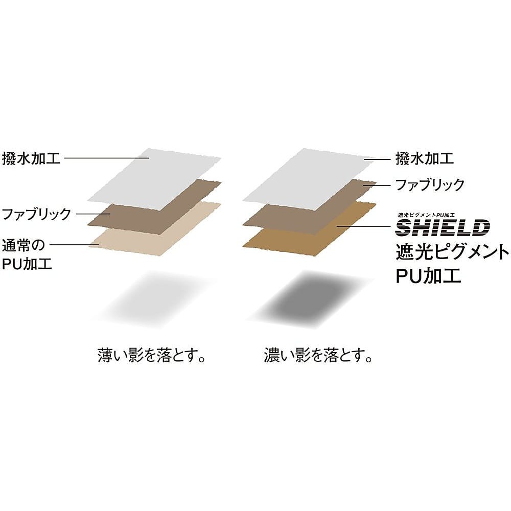 リビングシェル