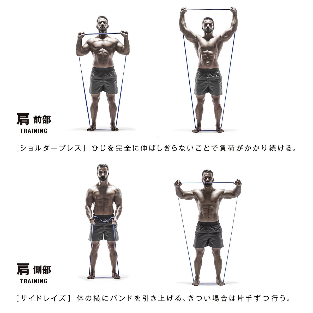 筋肉質バンド　スタンダード
